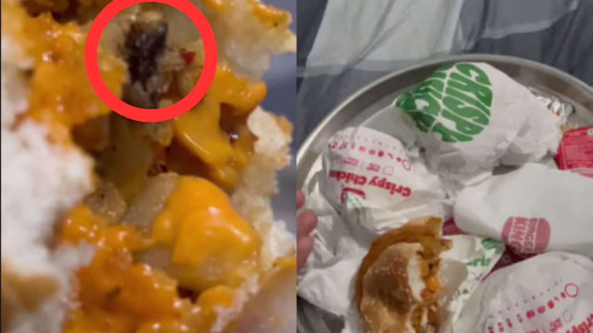‘No One to Trust’:  Mumbai Woman Found Dead Insect In Burger King Order