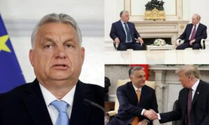 Viktor Orbán Supports Donald Trump, Criticizes US Policies On Ukraine