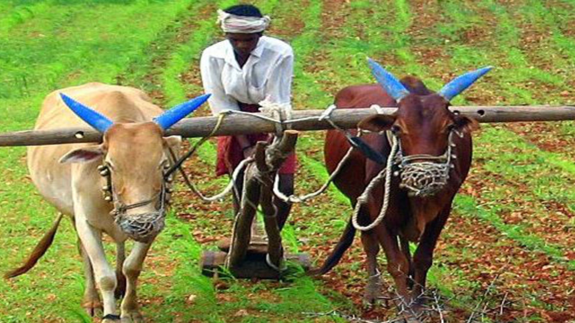 Telangana begins loan waiver for farmers, releasing Rs 6K Cr to 11.5 lakh farmers