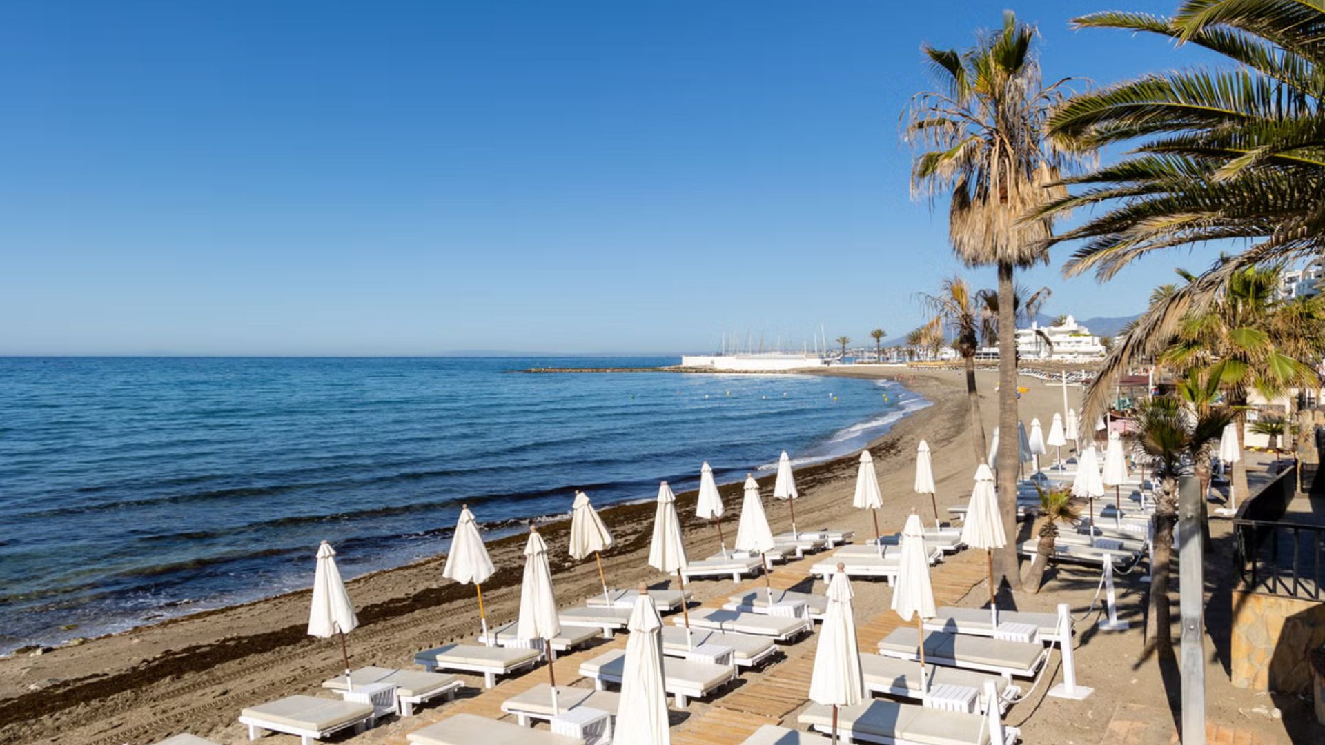Spanish City Marbella Plans Rs 67,000 Fine For Urinating In Sea, Social Media Raises Enforcement Concerns