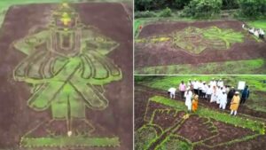 Ashadhi Ekadashi: Pune Farmer Stuns Viewers With Ingenious Paddy Field Art Of Lord Vithal