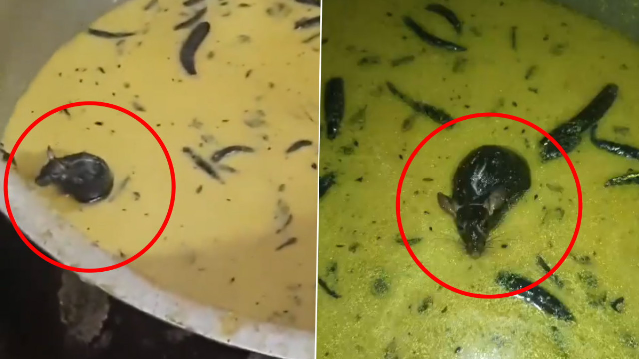 Watch: Hyderabad Hostel Horror- Students Find Rat In Mess Food
