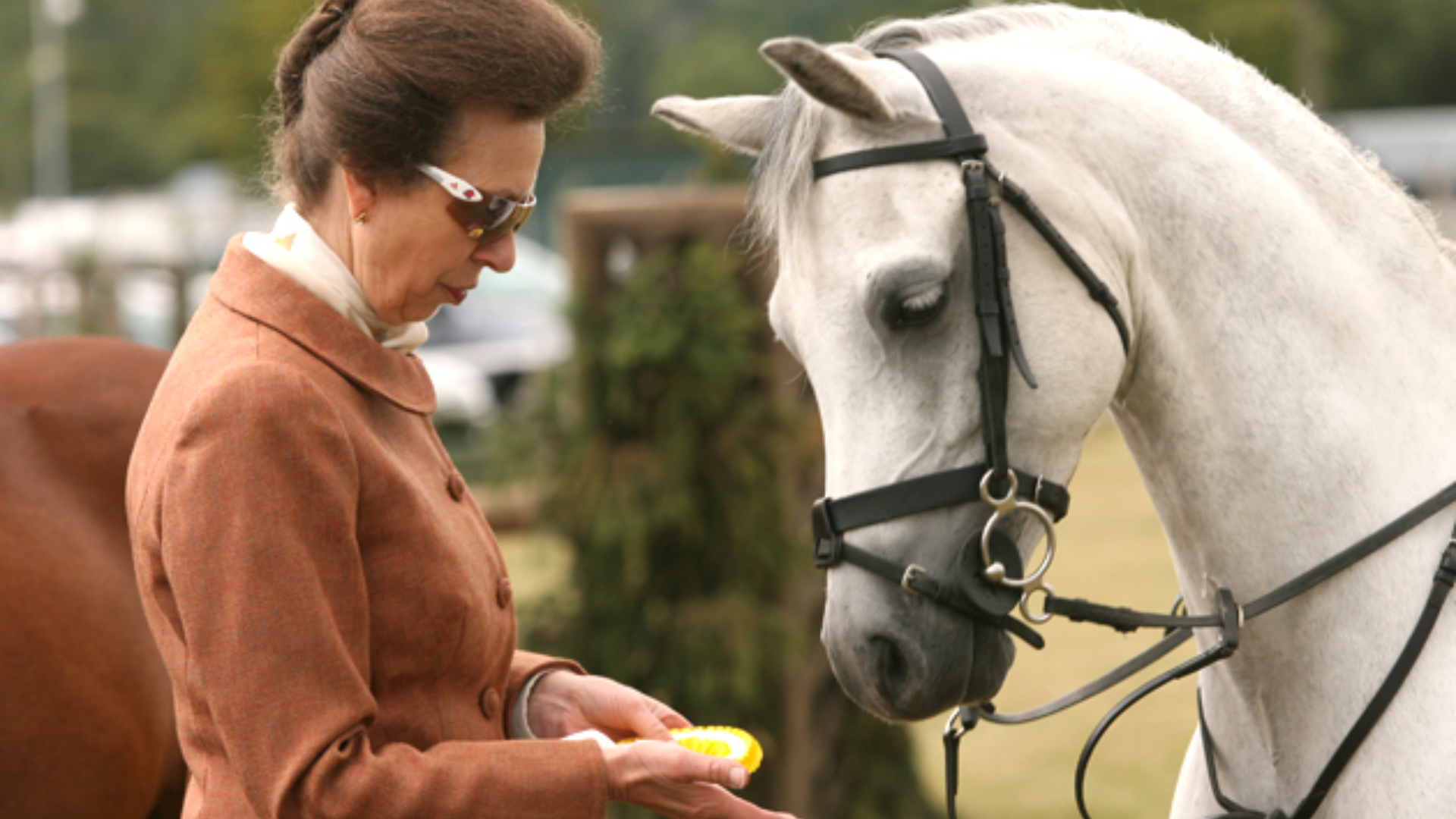 UK: Princess Anne Unexpected Accident, A Heartfelt Message After Missing Key Ceremony