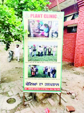 Punjab’s first plant clinic and soil testing laboratory established in Moga