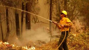 California Park Wildfire Destroys Over 350,000 Acres, Now Largest In US