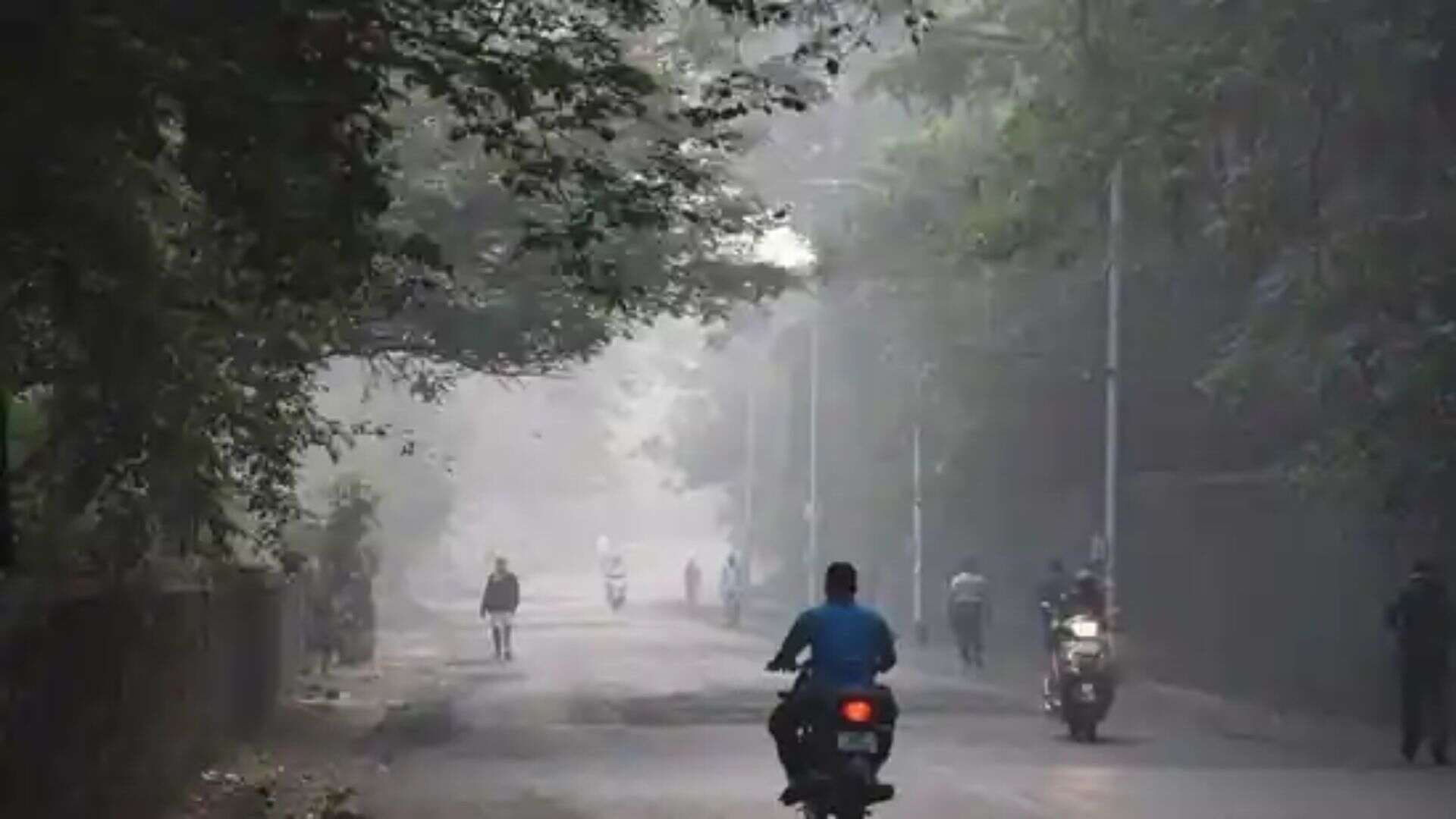 Bengaluru Hits Coldest Day Of 2024 With Maximum Temperature At 23.8°C