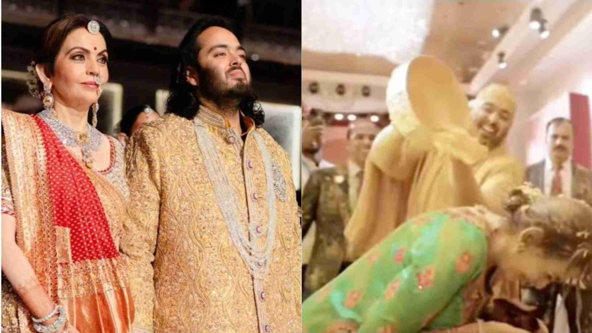 Watch : Anant Ambani Drenches Mother Nita Ambani In Haldi Paste