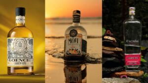 Goa’s Liquid Legacy: Unveiling The Secrets Of Feni