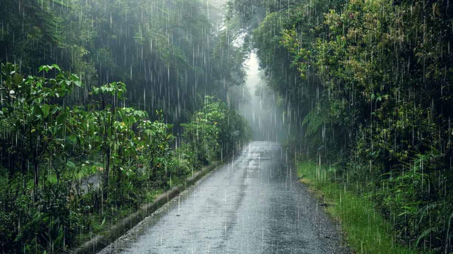 5 Must-Visit Places for Staycation in India During Monsoon