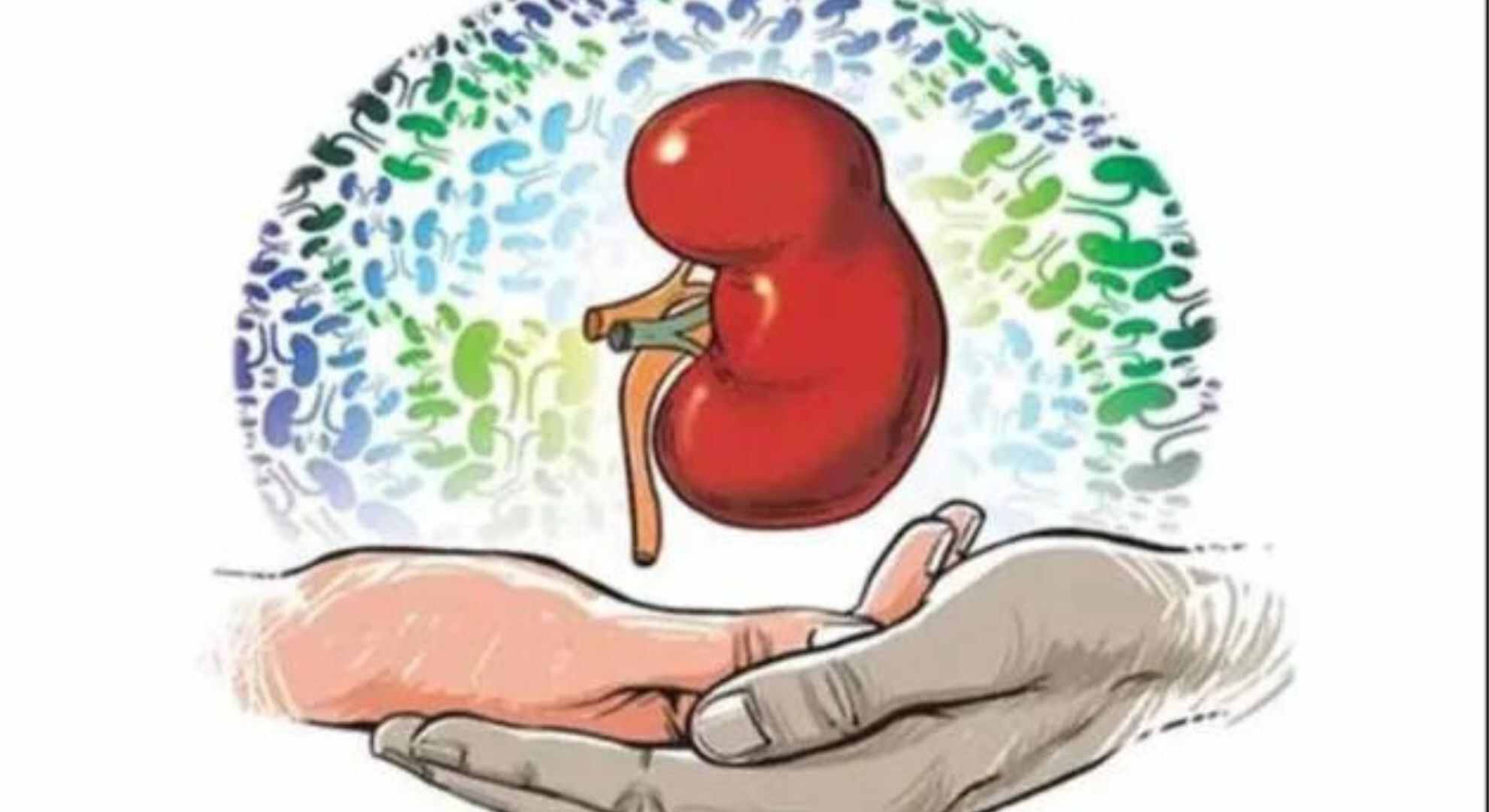 12-Year-Old Girl’s Organ Donation Saves 4 Lives in Mumbai
