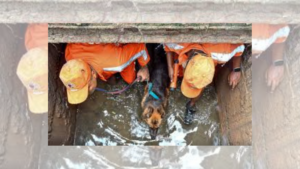 Guwahati Flood: Father’s Desperate Search For Son In Drains Continues