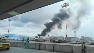 Nepal Plane Crash: Saurya Airlines Flight With 19 Onboard Crashes At Kathmandu Airport, Watch