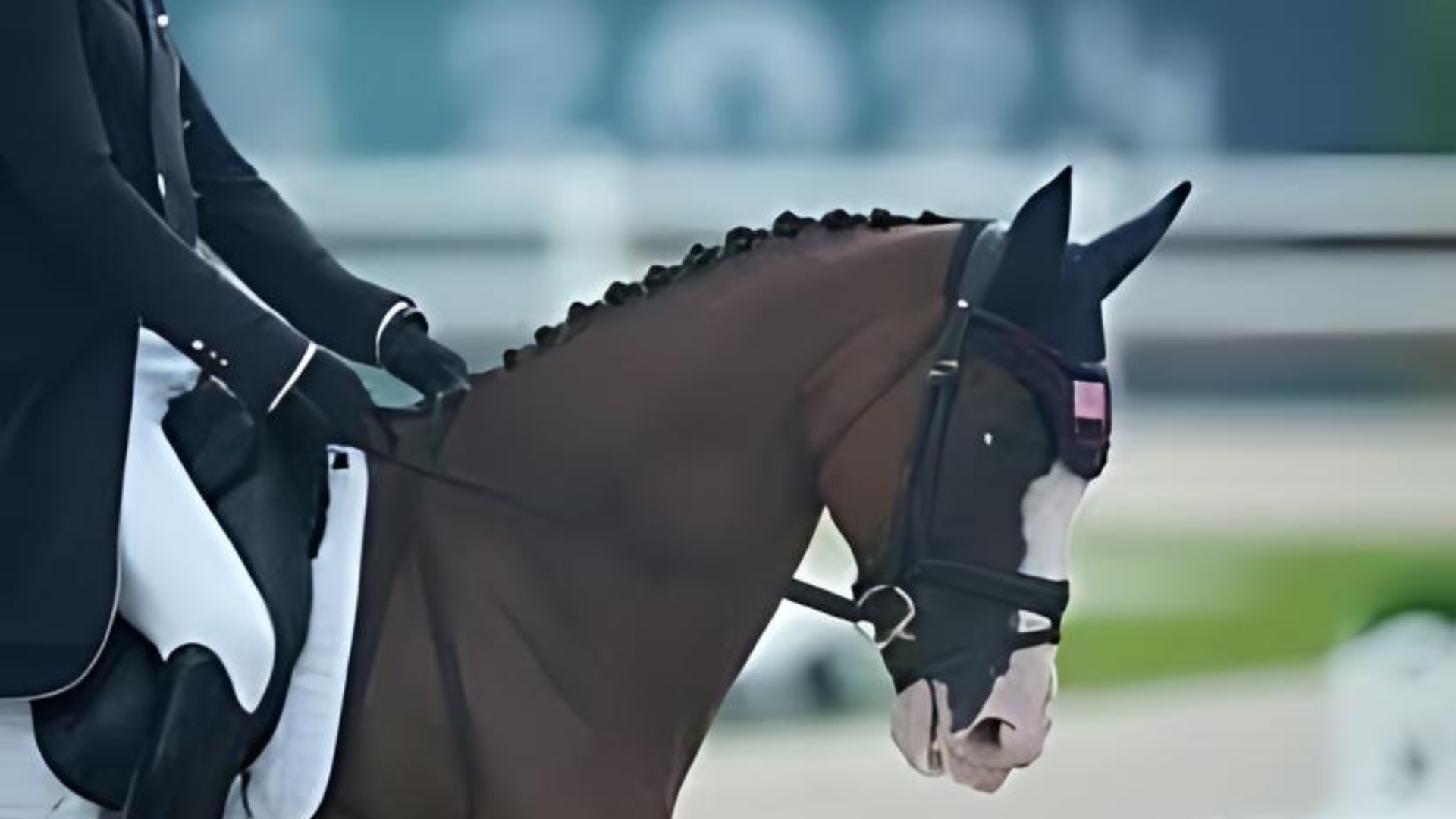 Viral Video: Equestrian Riders Express ‘Horror’ After Dujardin Caught Whipping Horse At Paris Olympics