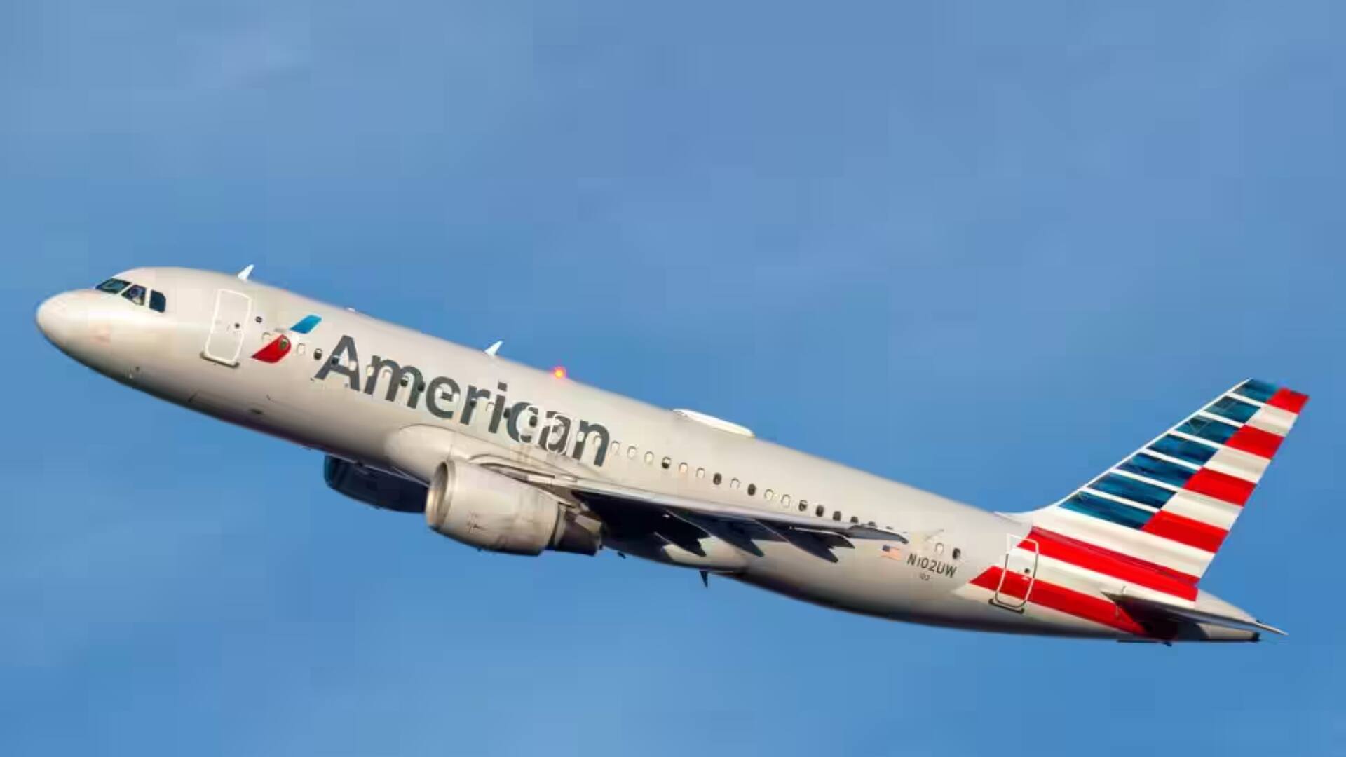 American Airlines NY-Bound Flight Makes Emergency Landing After Passenger Found lice In Women's Hair