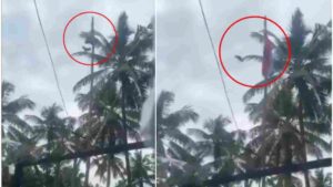 Bird ‘Unfurling’ National Flag in Kerala, Video Goes Viral | Watch