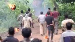 Elephant Killed As Villagers Attempt To Scare It Away With Spiked Rods & Fireballs