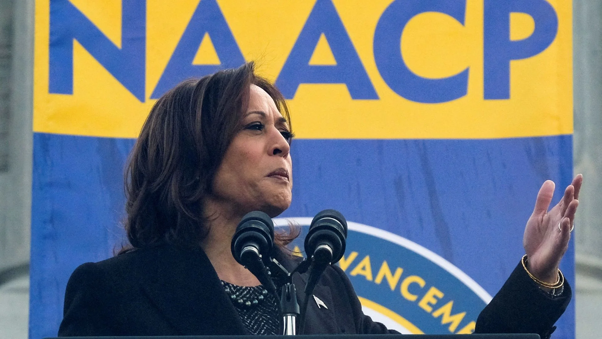 Kamala Harris Campaigns