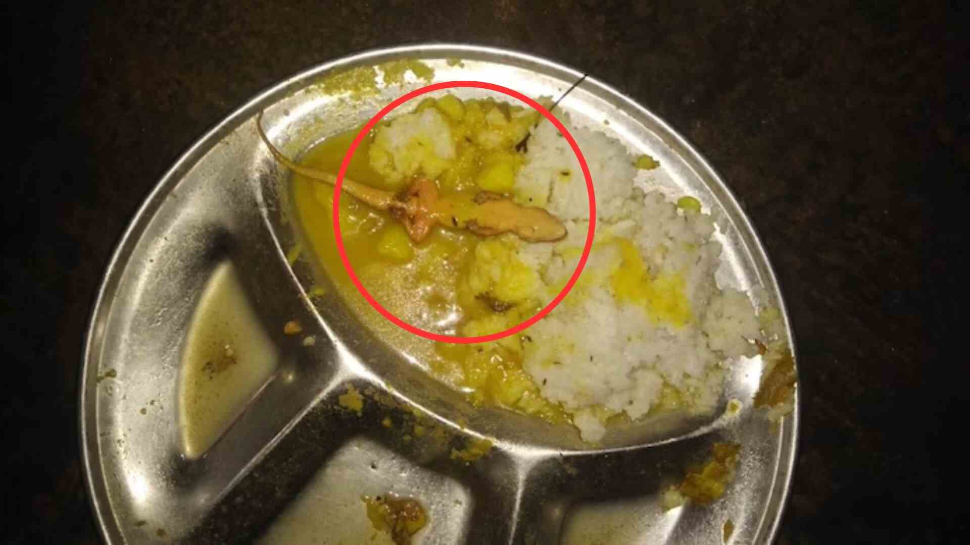 Health Scare: Dead Lizard Found In Mid-Day Meal Leaves 50 Students Sick