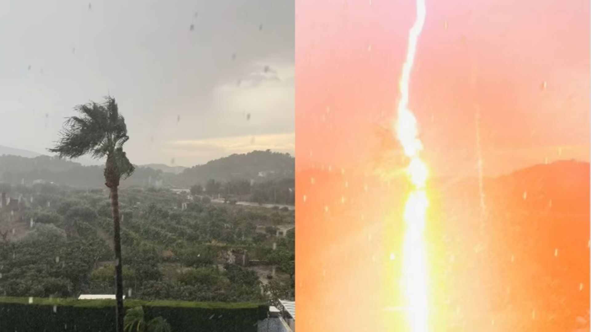 Shocking Video: Lightning Strikes Palm Tree During Monsoon | Viral