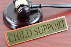 Judge Questions ₹10,000 Child Support From ₹12,000 Salary