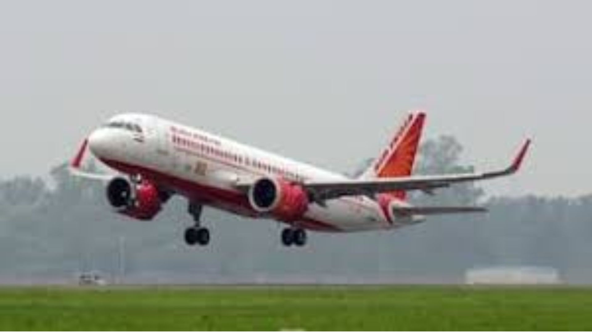 Air India Flight AI684 aborted after bird strike in Goa