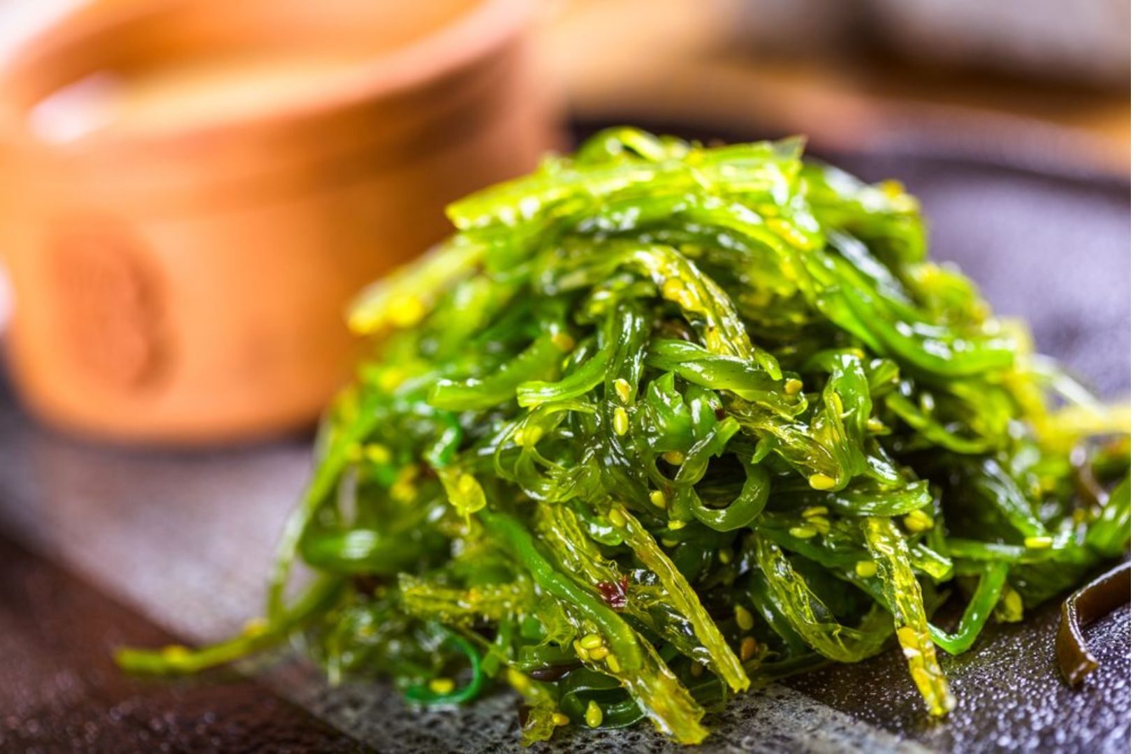 Study Reveals Seaweed Antioxidants May Aid in Preventing Parkinson’s Disease