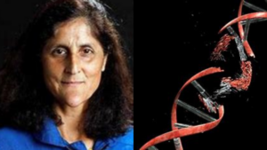 Sunita Williams Faces DNA Damage Risks From Prolonged Space Missions