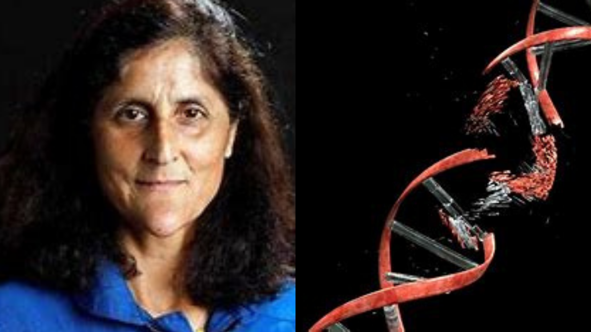 Sunita Williams Faces DNA Damage Risks