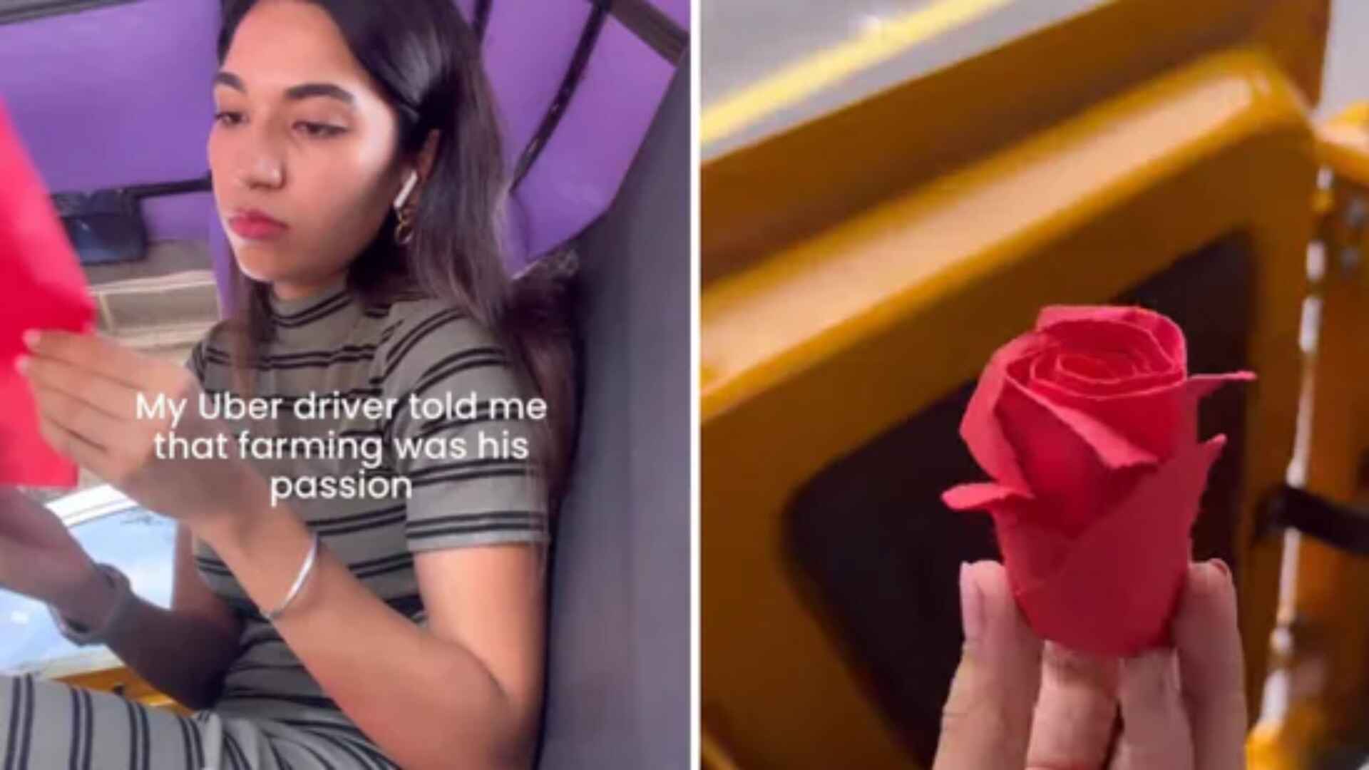 Woman Gifts Uber Driver Paper Rose, Explains Why – Watch Here