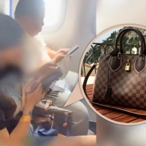 Louis Vuitton Bag Controversy Delays China Express Airlines Flight by One Hour