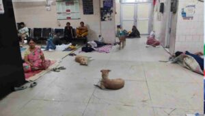 Liquor Bottles In Parking, Stray Dogs Near Labor Room: Shocking Reality Of A Delhi Hospital