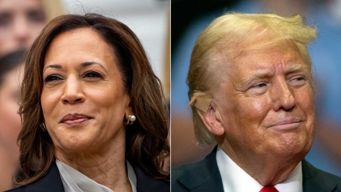 Poll Stats Show Kamala Harris Gaining Lead Over Donald Trump in US