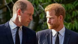 Prince Harry $8.5 Million Royal Inheritance, Sparks Tensions With Prince William