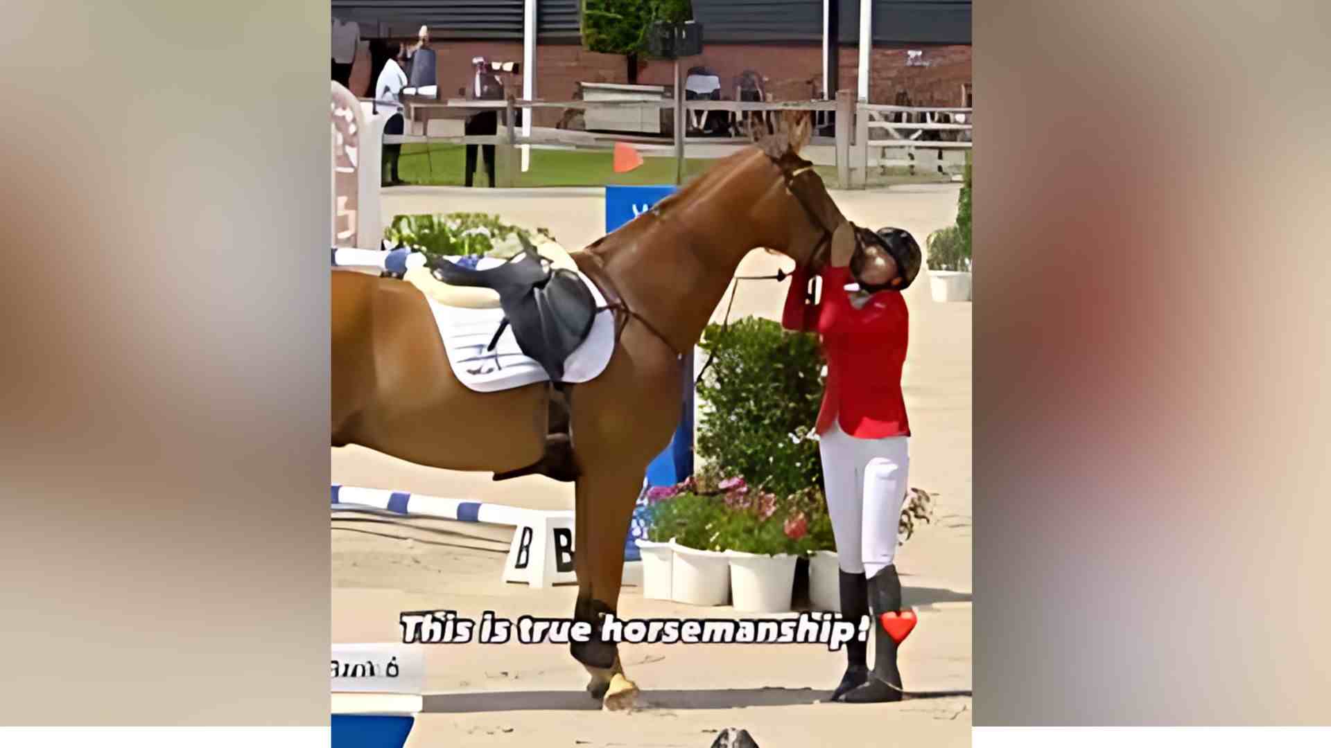 Anna Ley Heartwarming Moment With Errando at FEI Jumping European Championship | Watch