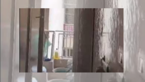 Video: Noida Flat Flooded As Fire Sprinkler Activates During Heavy Rain