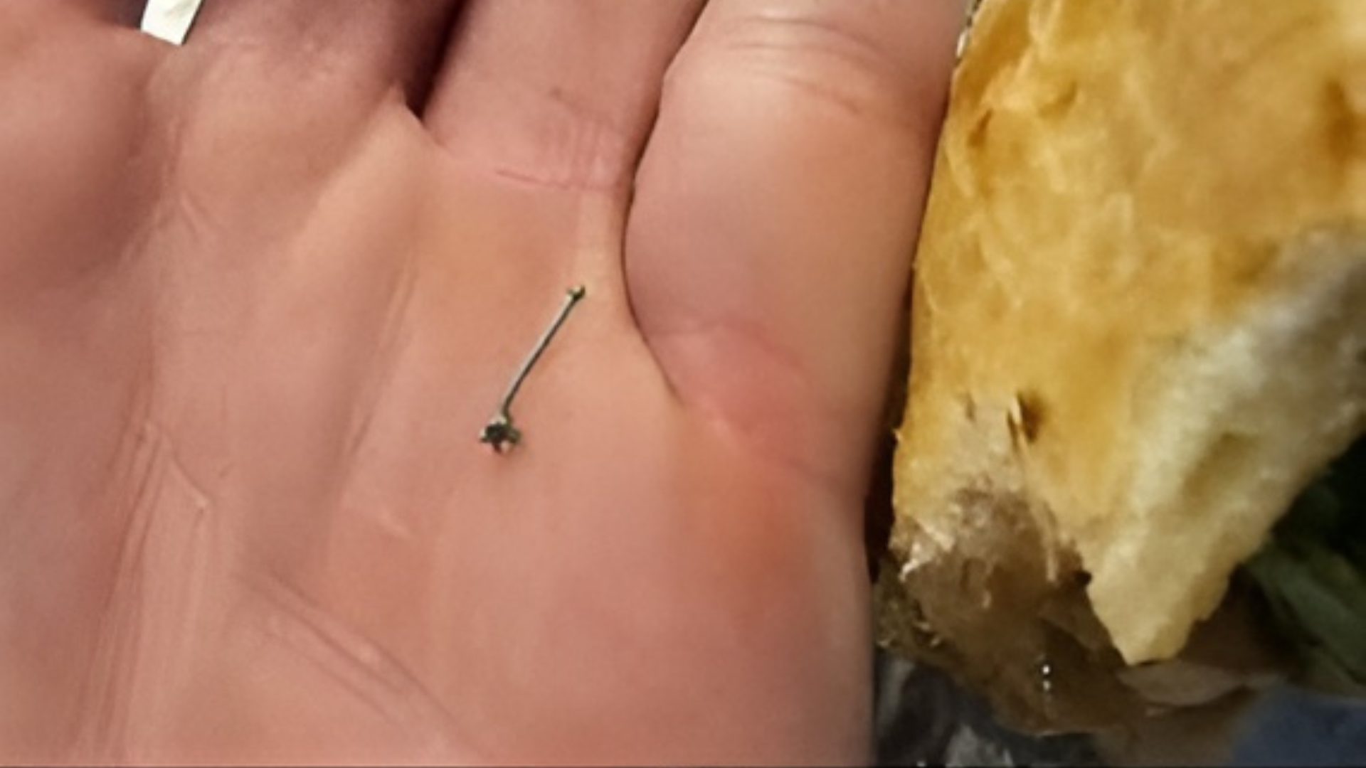 US Man Feels ‘Sharp Pain’, Finds Nose Ring In Taco Bell Meal