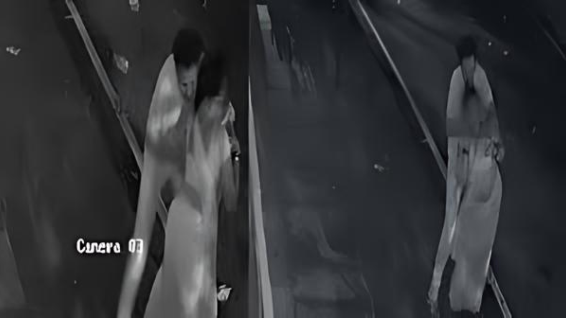 Watch: Bengaluru Woman Groped During Early Morning Walk, CCTV Captures Incident