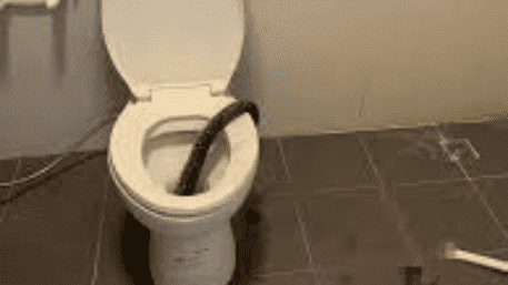 Watch: 12-Foot Python Bites Man On Toilet, Blood All Around Is Terrifying