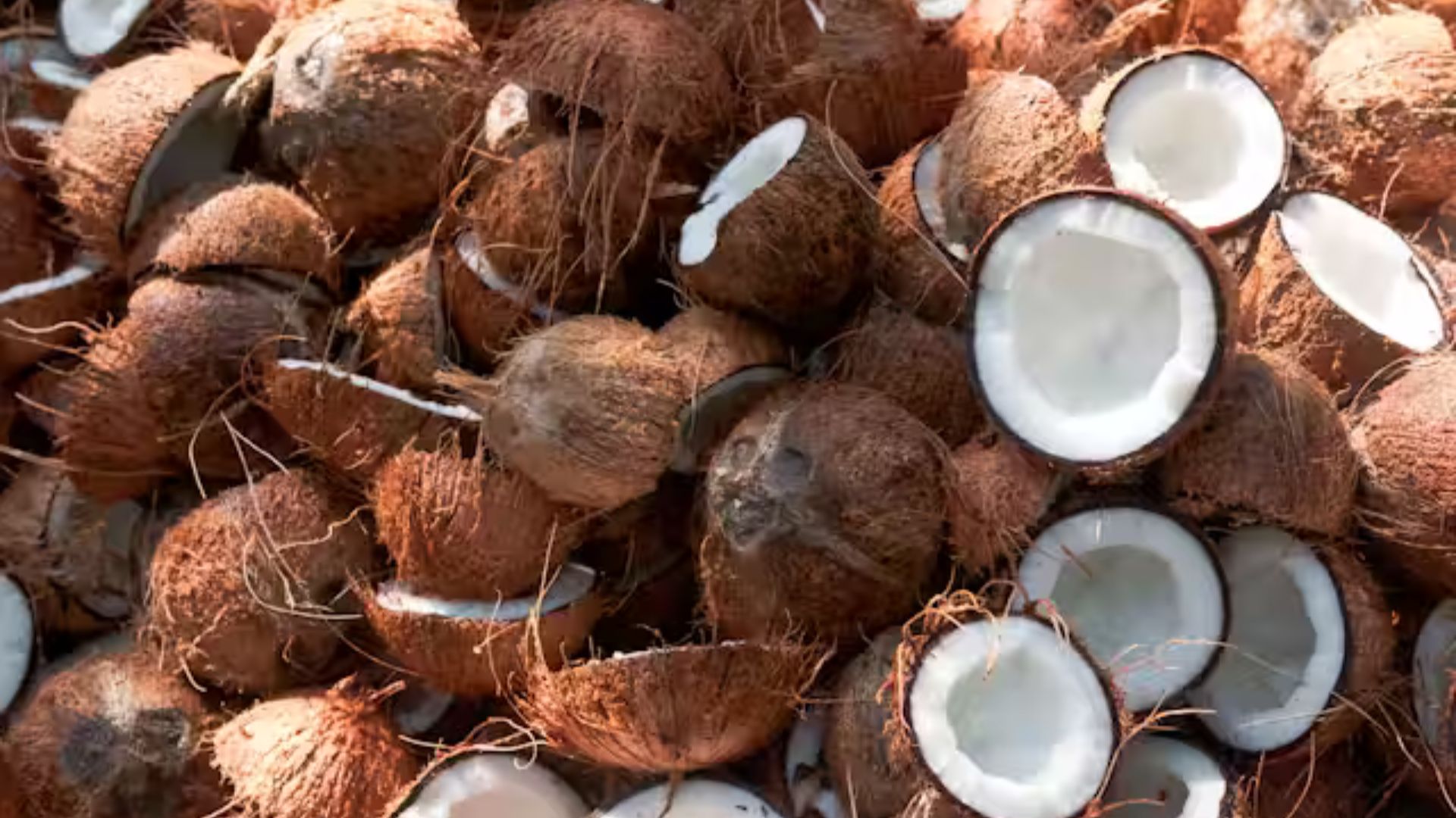 Why Airlines Ban Coconuts