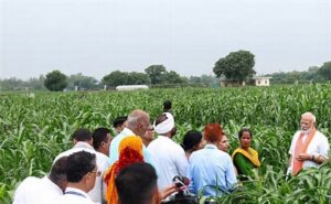 109 High-Yielding, Climate-Resilient Crops Introduced By PM Modi: A Game Changer For Indian Agriculture?