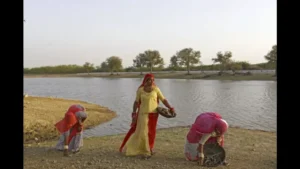 Women-led Jal Samitis in Rajasthan working in villages to conserve water. (UNICEF).