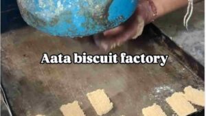 Watch: Internet Outraged Over Atta Biscuit Production In Punjab Factory