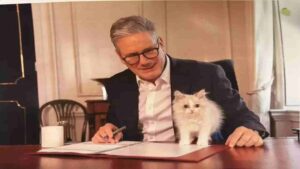 First Look: Newest Member Of Keir Starmer’s Family—British PM’s Adorable Cat