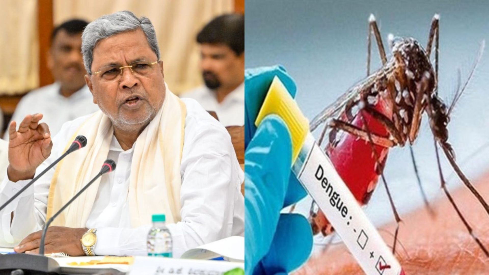 Karnataka Declares Dengue Epidemic as Cases Surge to Over 7,000 Across the State