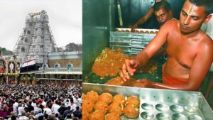 Purification Ritual Conducted at Tirumala Temple Following Claims of Animal Fat in Laddus