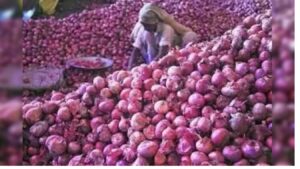 Indian Government Lifts Price Threshold on Onion Exports