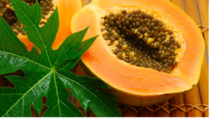 Papaya Leaf Juice: A Natural Remedy for Increasing Platelets in Dengue Patients