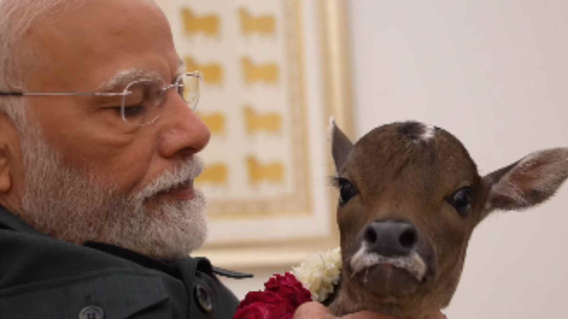 New Addition to Prime Minister Modi's Family : ‘Deepjyoti’