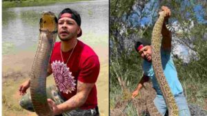 Watch: Shocking Video Of Man Barehandedly Capturing Giant Rattlesnake Sparks Outrage