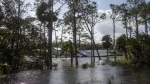 Hurricane Helene: 43 Dead Leaving Millions Without Power In Southeastern US